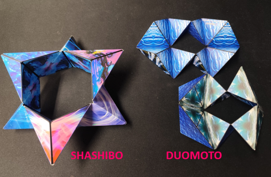 DUOMOTO ET SHASHIBO